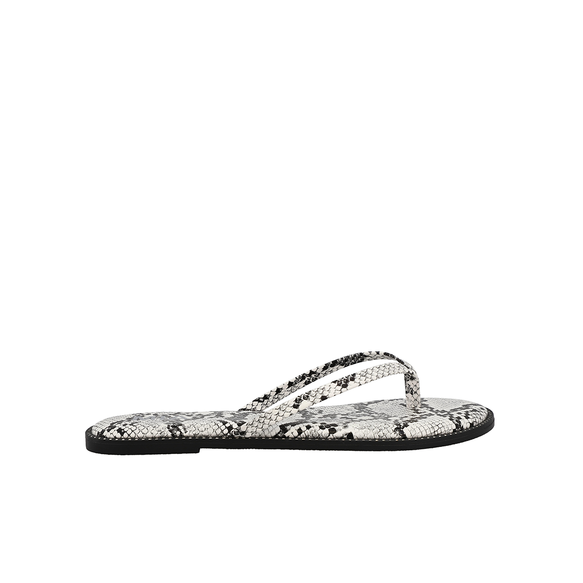 ASTER - SNAKE - Image 2