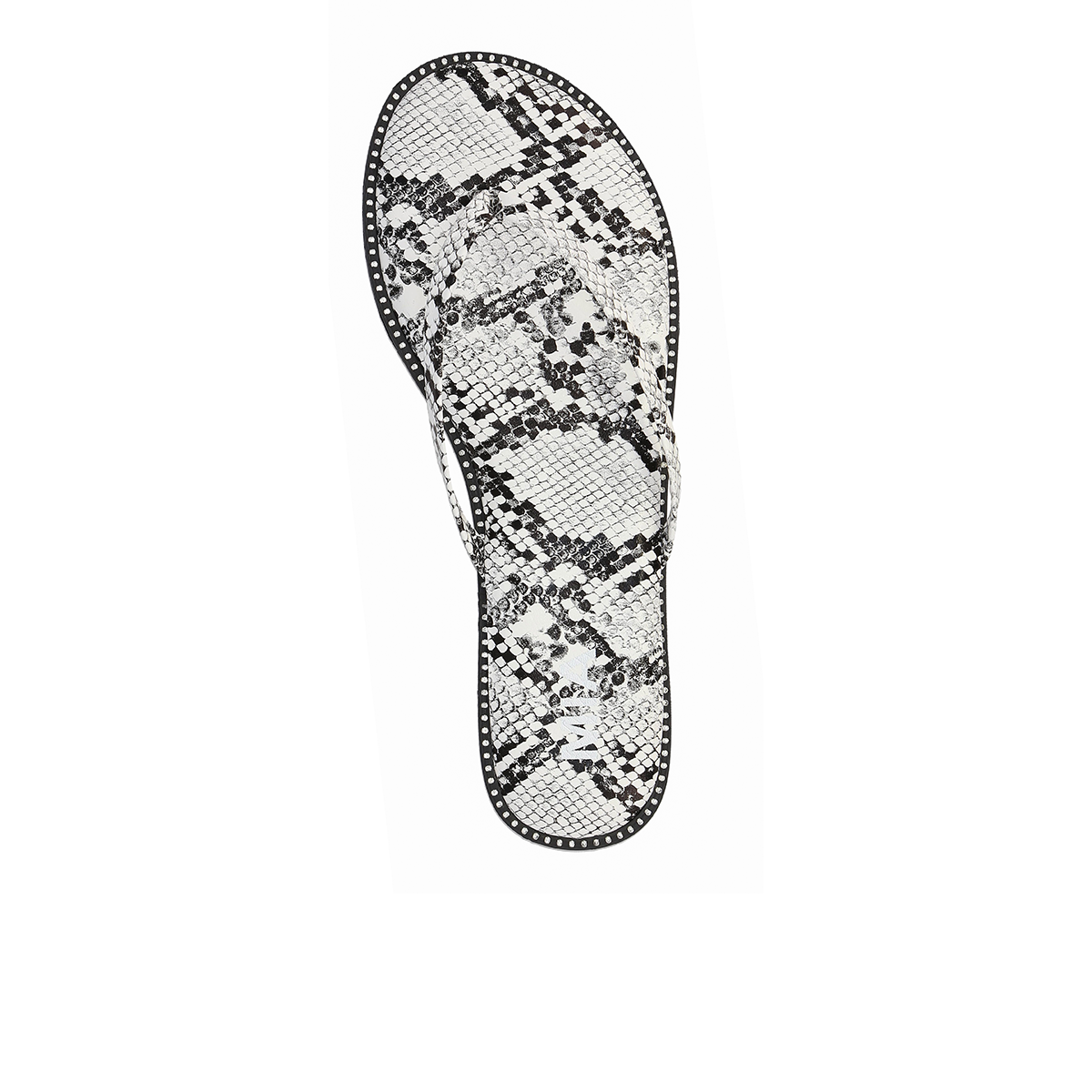 ASTER - SNAKE - Image 4