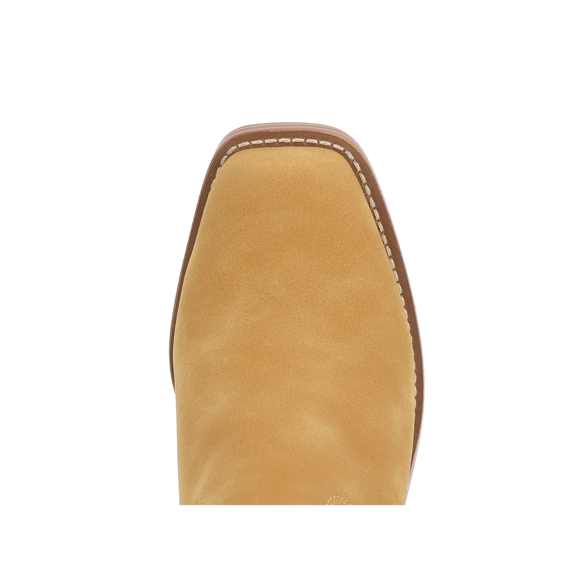 DUSTON - BANANA - Image 4