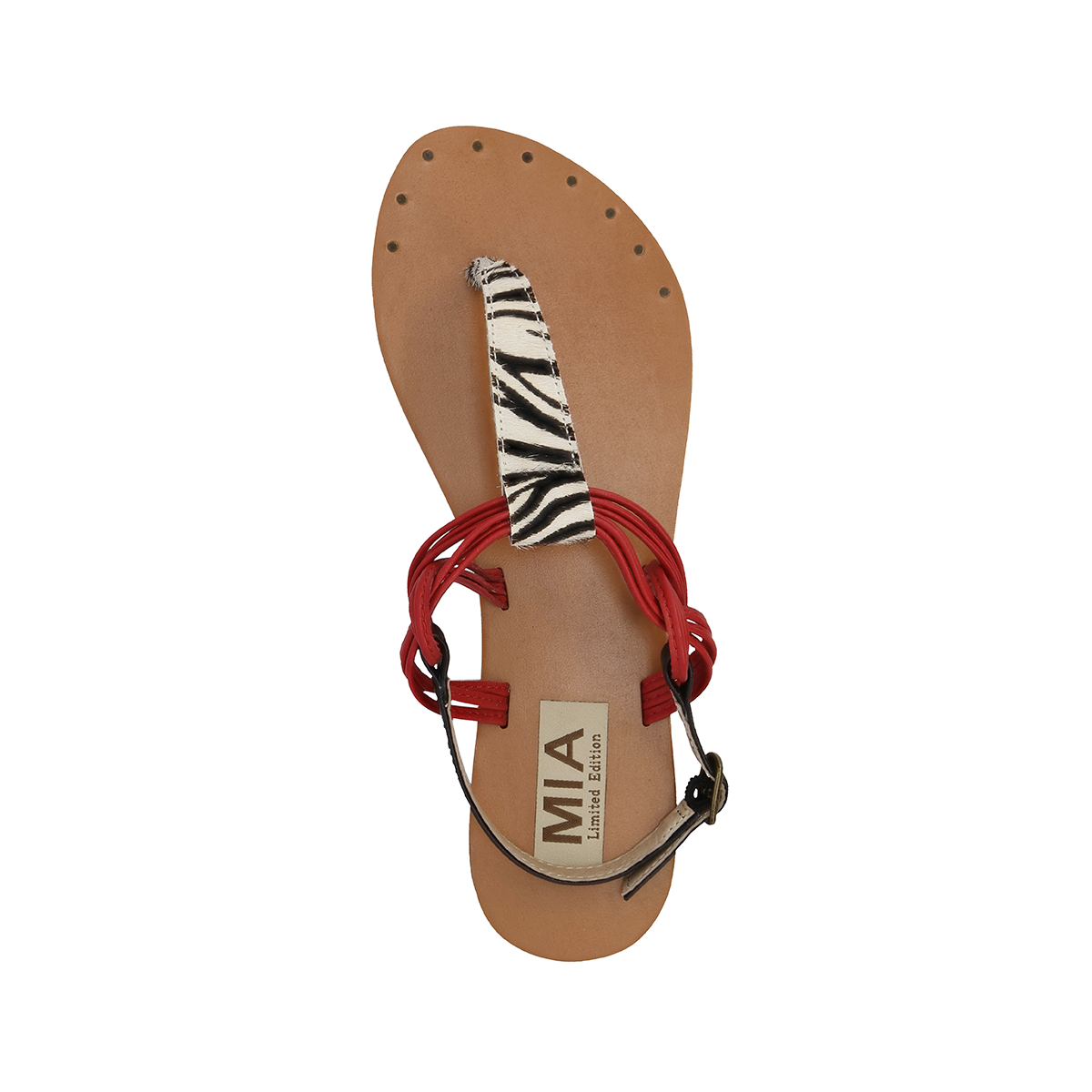 TAZARA - ZEBRA - Image 4